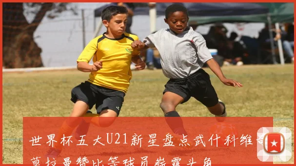 世界杯五大U21新星盘点武什科维奇莫拉曼赞比等球员崭露头角